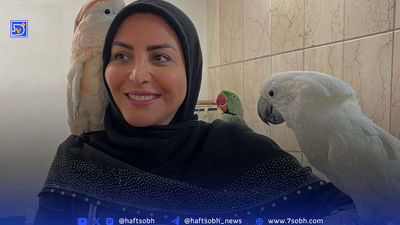 درگیری لفظی تند روی آنتن زنده؛ شریفی‌مقدم مقابل مجری جنجالی