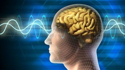 چگونه از پیری مغز جلوگیری کنیم؟