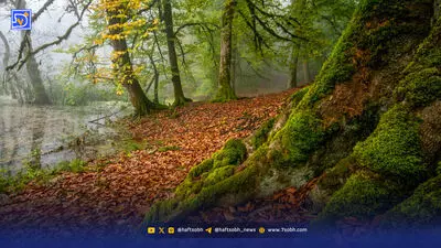 تمدید آب‌پری تمام شد، نوبت ابطال است