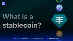 استیبل کوین چیست؟