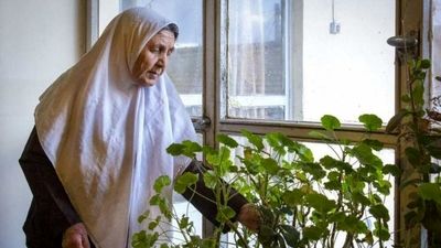 مسابقه مرگ و لایک برای جذب فالوور