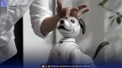برخورد جالب یوزپلنگ وسگ رباتیک + فیلم