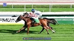 قهرمانی اسب ایرانی در مسابقه جایزه بزرگ فرانسه