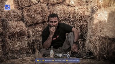 بیوگرافی همسر سیامک انصاری + ماجرای طلاق