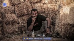 بیوگرافی شهروز دل افکار، عطا سریال شغال