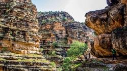 لرستان فردا تعطیل شد
