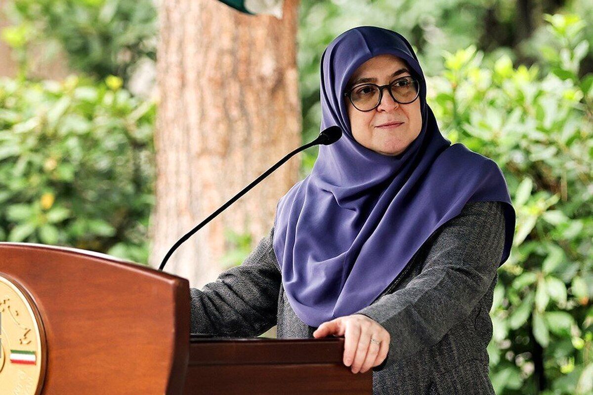  ماجرای پیامک حجاب از زبان سخنگوی دولت