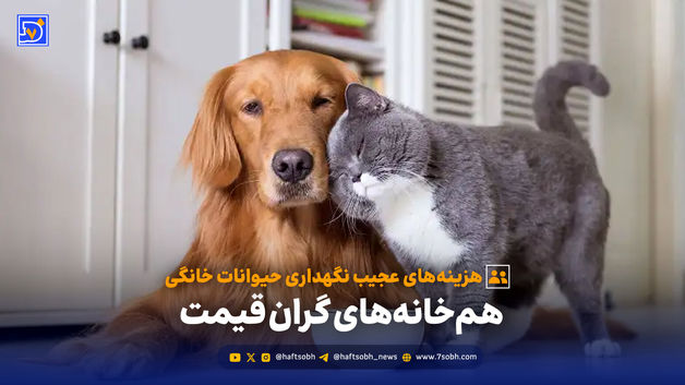 هم‌خانه‌های گران قیمت