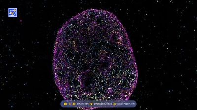 برای داشتن مغز جوان‌تر یک زبان جدید یاد بگیرید