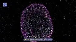 زبان دوم حیات کشف شد