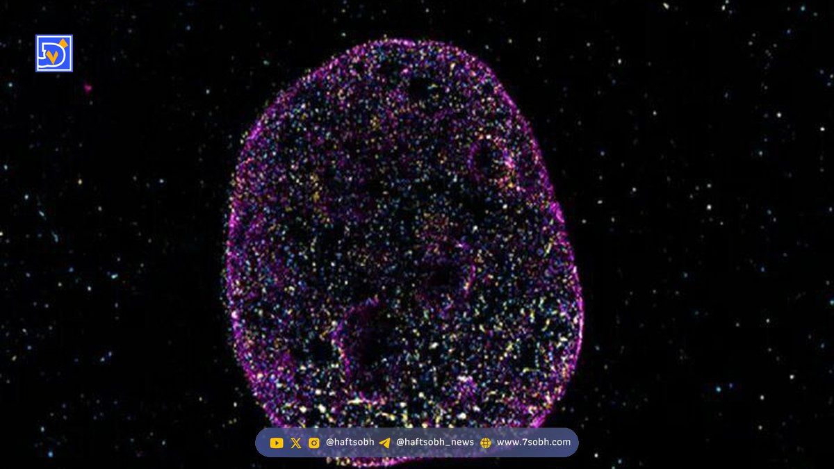 زبان دوم حیات کشف شد