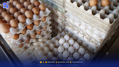 قیمت اقلام اساسی خانوار آبان 1404؛ خوراکیها پرواز کردند