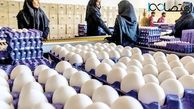 بحران در بازار تخم مرغ؛ زیان روزانه صنعت مرغ تخم‌گذار به 140 میلیارد تومان رسید