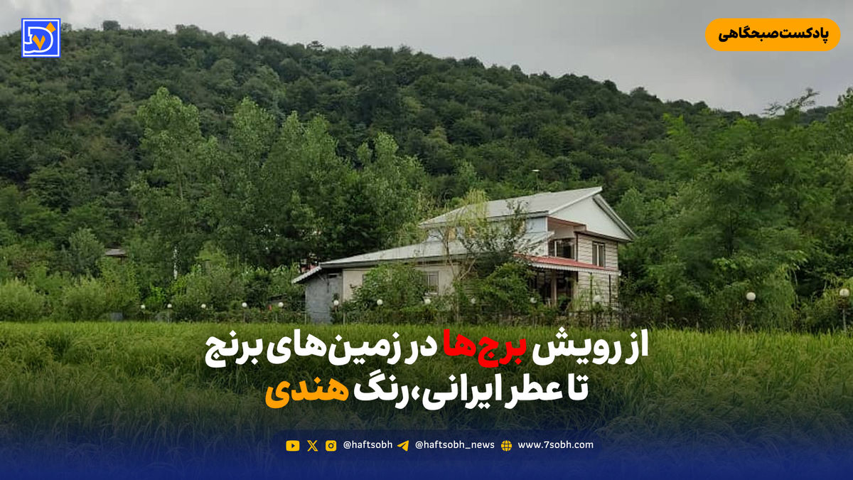 از رویش برج‌ها در زمین‌های برنج تا عطر ایرانی،رنگ هندی