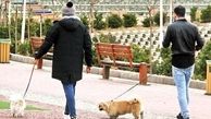 سگ‌گردانی در اصفهان ممنوع شد