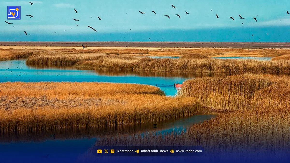 تکرار آتش‌سوزی در تالاب‌ کانی‌برازان