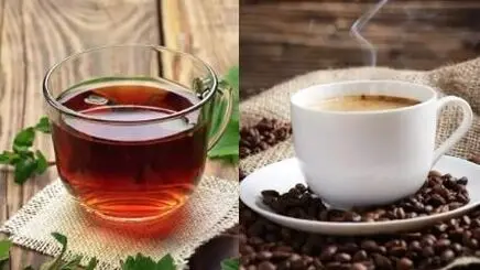 آیا چای و قهوه می‌توانند جایگزین آب شوند؟ پاسخ علمی را بخوانید!