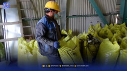 خوراک دام، خوراک مافیا شد