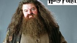 اولین تصویر نیک فراست در نقش هاگرید سریال Harry Potter منتشر شد