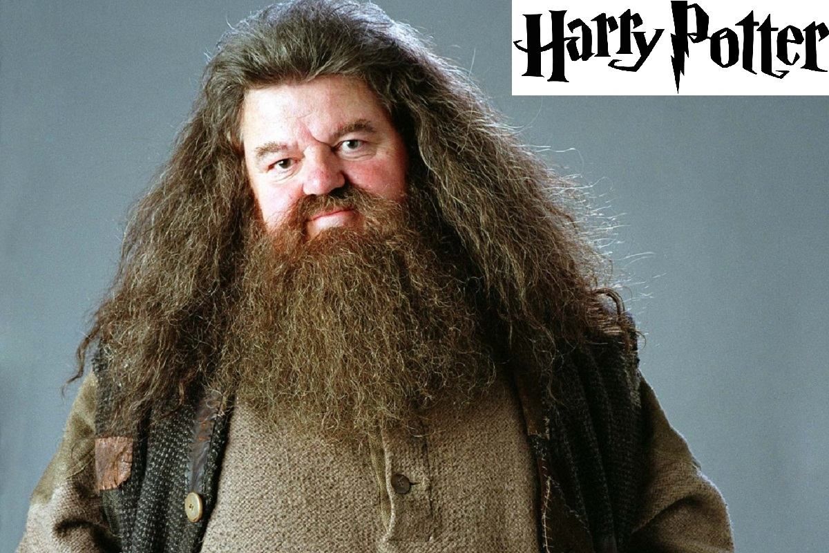 اولین تصویر نیک فراست در نقش هاگرید سریال Harry Potter منتشر شد