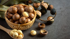 ماکادمیا چیست؟ خواص آن برای پوست و مو؛ یک روغن طبیعی بی‌رقیب