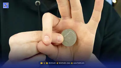 آموزش نقاشی گربه روی دیوار خانه برای مبتدی ها