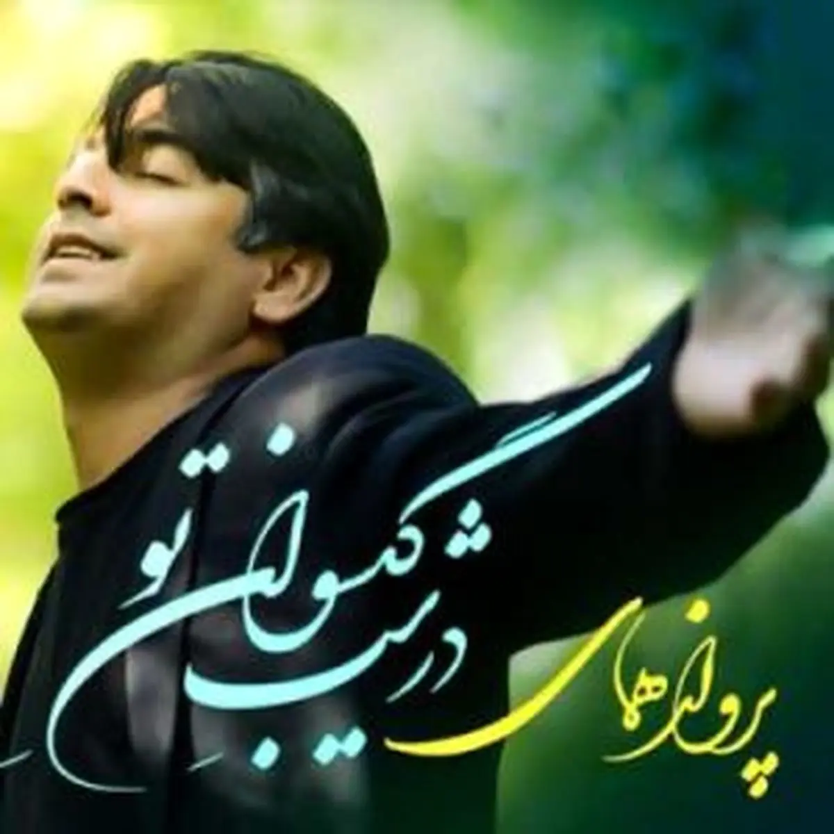 نخستین جزئیات از اولین آلبوم رسمی «پرواز همای»