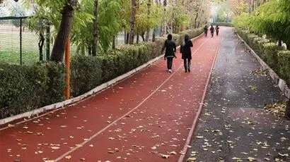 آتش سوزی مجموعه ورزشی انقلاب خسارت جانی و مالی نداشت