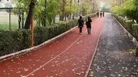 آتش سوزی مجموعه ورزشی انقلاب خسارت جانی و مالی نداشت