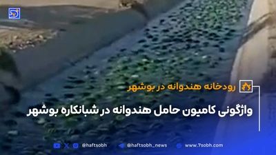 ماجرای آلودگی هندوانه‌های ایرانی+ فیلم 