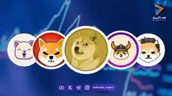 قیمت میم کوین ها امروز ۱۴ شهریور ۱۴۰۵ 
