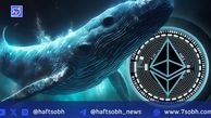 نهنگ جدید رمزارز ۱.۳ میلیارد دلار اتر خرید؛ نگرانی‌ها درباره تورم آمریکا افزایش یافت