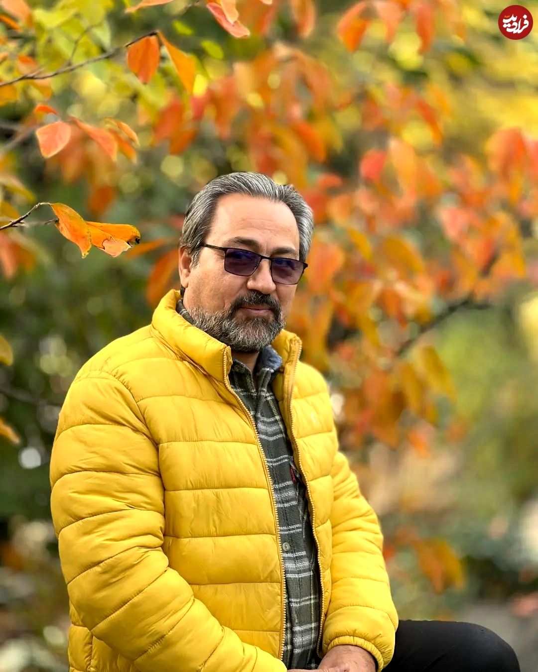 aliyaghubzadeh_1731173732_3497661234503019752_3574358129_11zon (1)