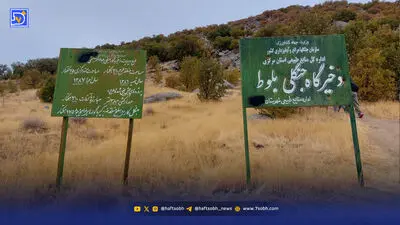 راه نجات جنگل‌ها بازگشت به مدیریت پایدار است؛ هشدار فائو درباره کاهش بیوماس