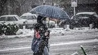 هشدار فوری هواشناسی به تهرانی ها/ برف و باران تا ساعتی دیگر میهمان پایتخت‌نشینان