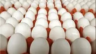 قیمت مرغ و تخم مرغ امروز جمعه 10 بهمن 1404