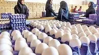 تخم مرغ ارزان شد / هر کیلو چند؟