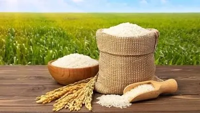 برنج سفره ایرانی‌ها از کجا می‌آید؟  
