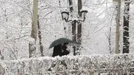 عکس| تهران برفی / حال خوب