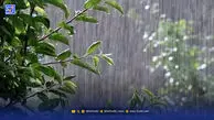 هشدار هواشناسی برای تهران/ سامانه بارشی جدید در راه پایتخت