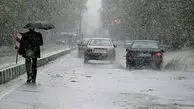 بارش برف ۴ متری در این منطقه از کشور | خانه‌ها زیر برف دفن شدند