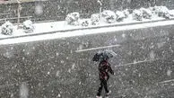 هواشناسی ایران امروز شنبه 4 بهمن 1404 / ۱۰ استان برفی و بارانی می‌شوند