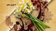 اعمال شب و روز نیمه شعبان