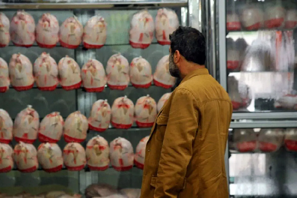 قیمت مرغ در بازار امروز 17 بهمن 1404