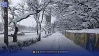 اطلاعیه مهم هواشناسی استان تهران/ برف و باران بی سابقه در راه پایتخت