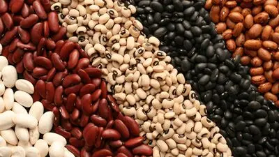 لوبیا چیتی خلاف جریان آب شنا می‌کند