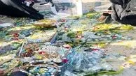 جزئیات جدید از قتل تلخ ملیکا به روایت برادرش/ سگ‌ها بخشی از پای ملیکا را خورده‌اند!