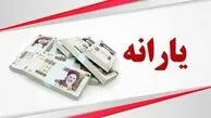 شرط قطعی حذف یارانه اعلام شد؛ کدام سرپرستان خانوار در معرض قطع یارانه هستند؟