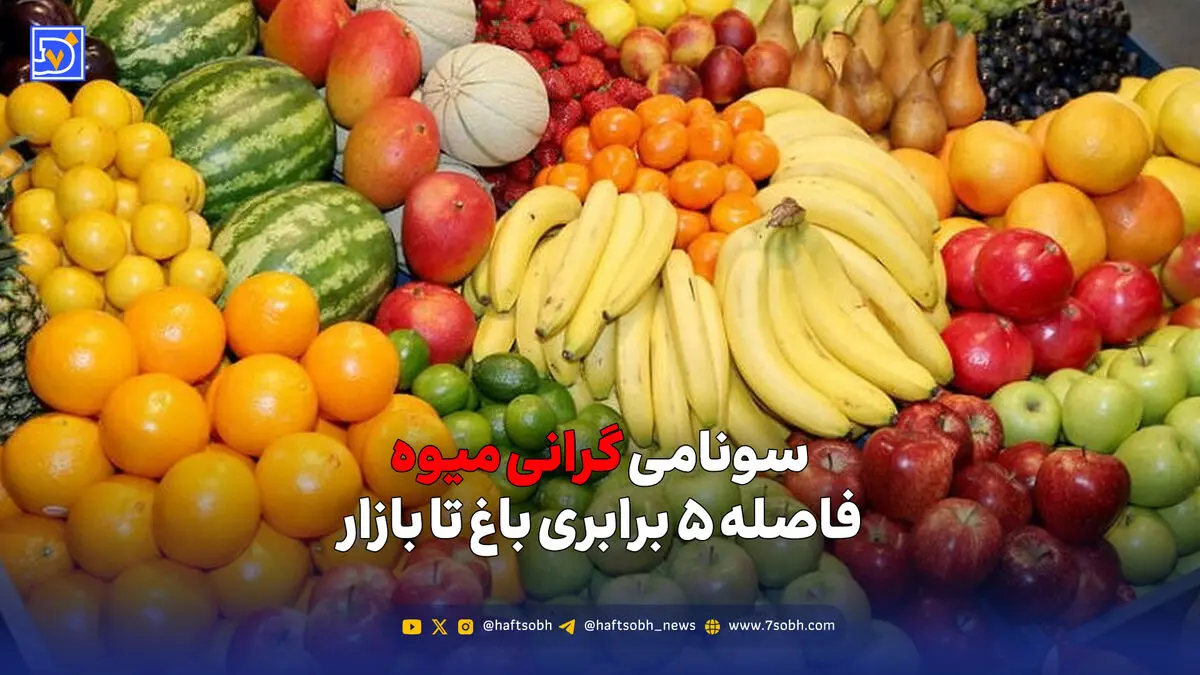 سونامی گرانی میوه؛ فاصله ۵ برابری باغ تا بازار