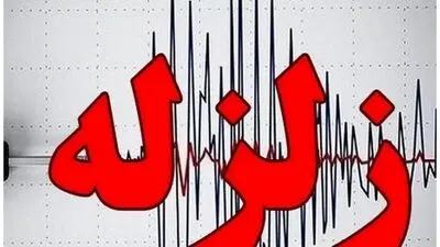 نوتریا ساکن گیلان شد، راکون مهاجم شد؛ سرنوشت دو حیوان فراری از مزارع پوست